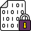 Data Encryption & Protection